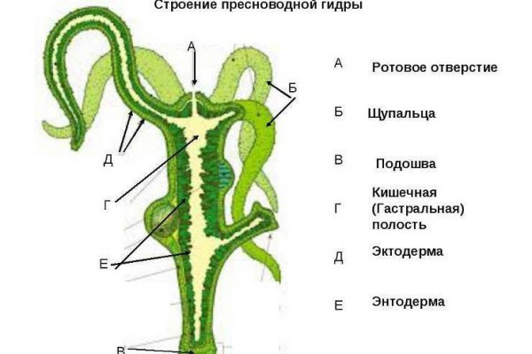 Кракен маркет что это такое